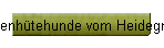 Alpenhtehunde vom Heidegrund