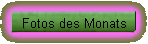 Fotos des Monats