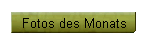 Fotos des Monats