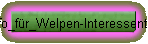 Info_fr_Welpen-Interessenten