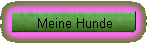Meine Hunde