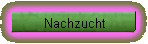 Nachzucht
