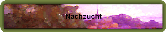 Nachzucht