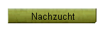 Nachzucht