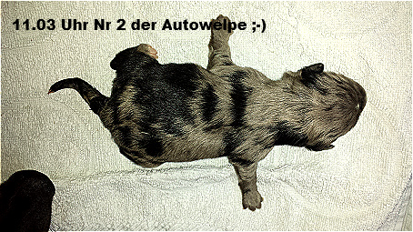1103nr2 1103nr2
