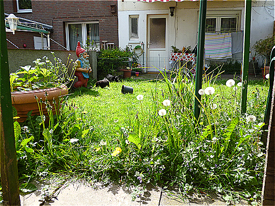 Garten2 Garten2