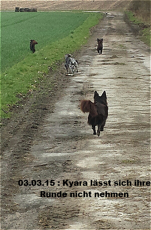 Gassierunde Gassierunde