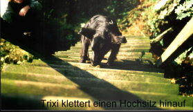 Hochsitz2