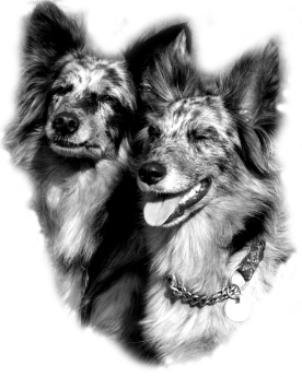 Kopie von Emily&BibiPortrait