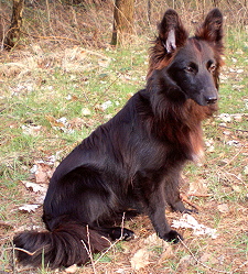 Kyarafeb081