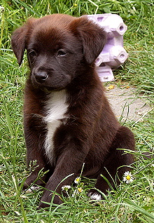 Leon8