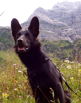 Muminberge