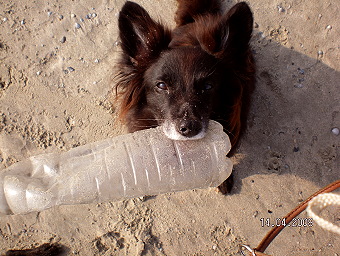 Sionastrandflasche