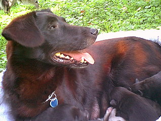 cherie2