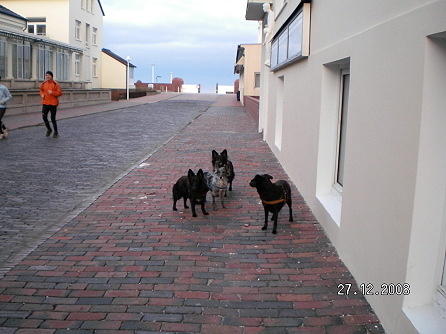 daobenistderstrand