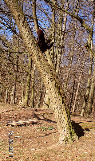 kybaum2