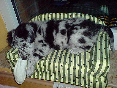lennoxsofa
