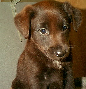 luna2