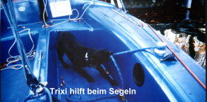 trixi hilft beim Segeln