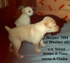 welpen94 welpen94