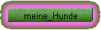meine_Hunde